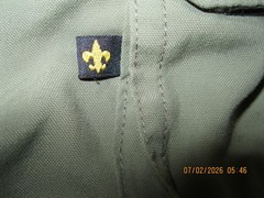 Boys Scouts Of America Cargo Shorts Youth XL Green with Belt Uniform Switchback