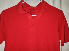 Galaxy by Harvic Boy’s Short Sleeve School Uniform Polo Shirt Red Size 14