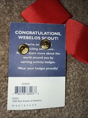BOY CUB SCOUT Red Epaulet Red & 2 Weblo Achievement Pins. New Other. LOT.