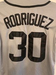 Boy’s The Sandlot Gray & Black Baseball Jersey #30 Rodriguez Size YTH S 8