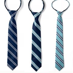 Lot of 3 Lands End Boys School Uniform Zipper Ties Size Medium Blue Stripes