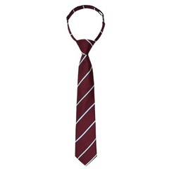 Boys Tie Pre-tied Clip on Ties for Boy Adjustable School Kids Burgundy Striped