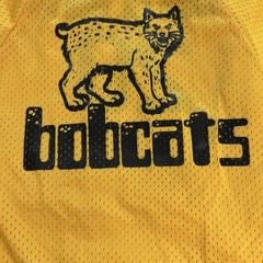 Vintage 1984 Cy Fair Bobcats All Star Baseball Jersey YOUTH Medium MJ Soffe