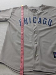 Chicago Cubs Starlin Castro Baseball Jersey Large 14-16 Youth Boys