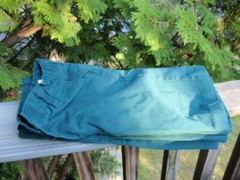 LOT OF 2 FLYNN & O’HARA BOY’S KID’S SCHOOL UNIFORM GREEN SHORTS SIZE 7 REGULAR
