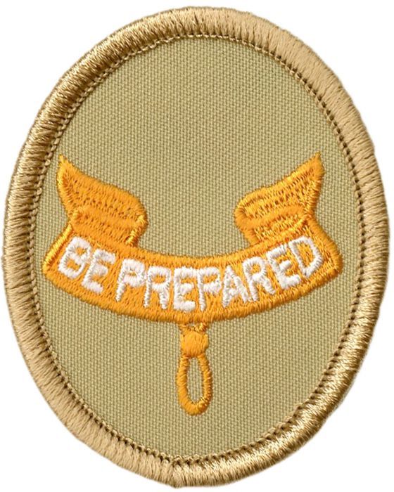 Second Class Rank Badge Emblem Patch BSA 2010 Backing