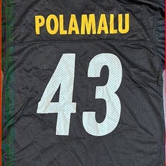 NFL Pittsburgh Steelers Football Jersey #43 Troy Polamalu Size: M (Boy)