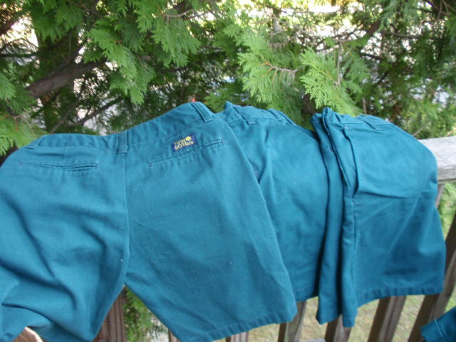 LOT OF 5 FLYNN & O’HARA BOY’S KID’S SCHOOL UNIFORM GREEN SHORTS SIZE 10 REGULAR