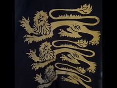Rennaisance kid’s knight Undershirt