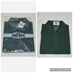 New Boys Authentic Galaxy by Harvic XBE 85HT School Uniform Polo Shirt Green 12