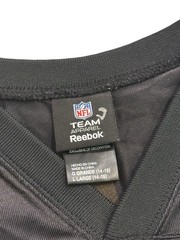 NFL Pittsburgh Steelers Football Jersey #43 Troy Polamalu Size: L (YOUTH)