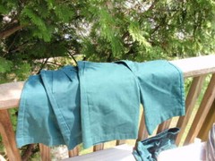 FLYNN & O’HARA BOY’S KID’S SCHOOL UNIFORM GREEN SHORTS SIZE 10 REGULAR