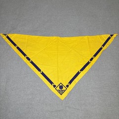 VINTAGE Cub Scouts BSA Shirt Blue Uniform w/ Patches Pins Hat Scarf Plus 50s