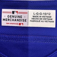 Youth Texas Rangers MLB Genuine Merchandise Jersey 10/12 Large Button Up Blue