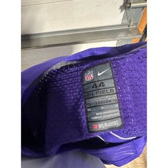 Minnesota Vikings Teddy Bridgewater #5 Jersey (Size 44)